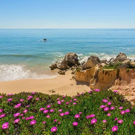 Appartement Condo-pool Walk To The By Algarve Dream Holidays *