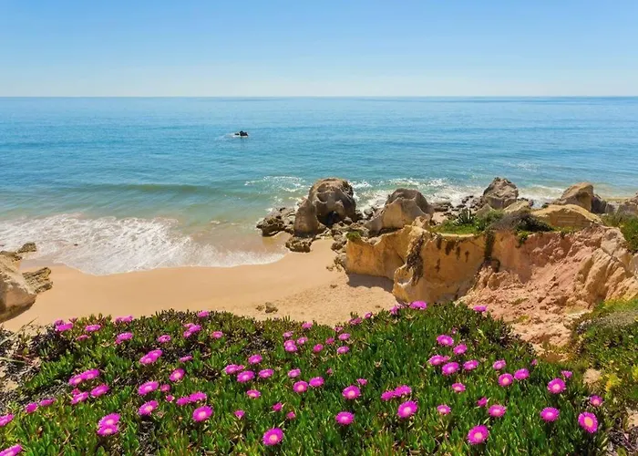 Apartment Condo-pool Walk To The By Algarve Dream Holidays *