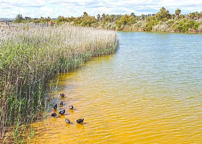 Apartment Condo-pool Walk To The By Algarve Dream Holidays